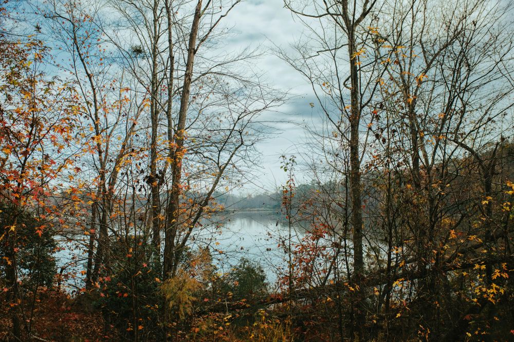 Property Management in Northern Virginia: A Complete Guide for Landlords